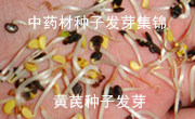 ˎٍX
